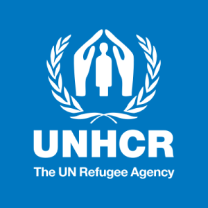 Read more about the article Wednesday 10th December, UNHCR and UNSOS sell of motor vehicles, containers, generators machines, scrap metals and huge assortment of other assets
