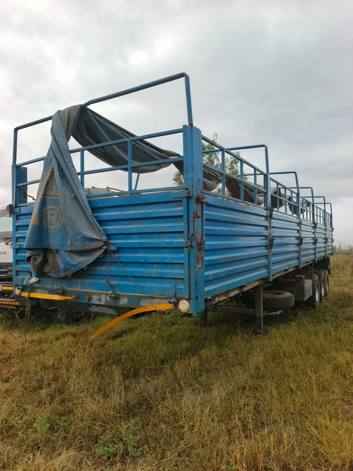 ZH 2032 HANS TRAILER